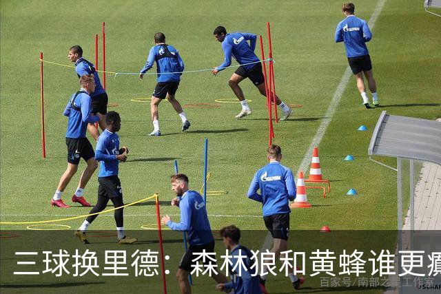 三球换里德：森林狼和黄蜂谁更癫？！