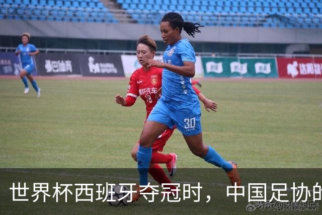 世界杯西班牙夺冠时，中国足协的落马官员们正在踩缝纫机