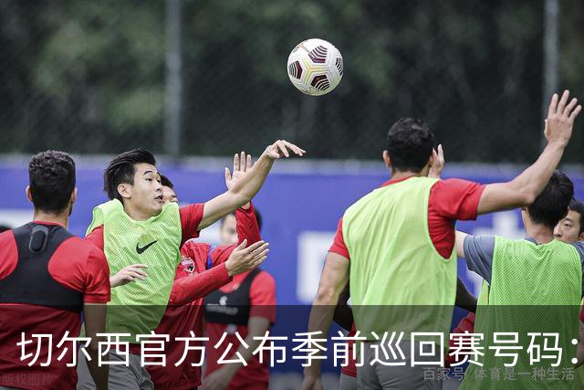 切尔西官方公布季前巡回赛号码：帕尔默10号，帕莱斯特拉2号