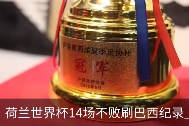 荷兰世界杯14场不败刷巴西纪录 小组赛35战2负从未出局